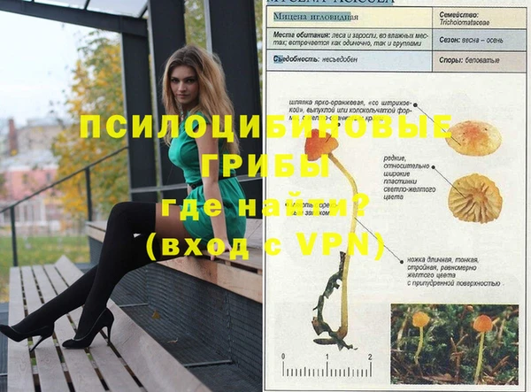 тгк Наволоки