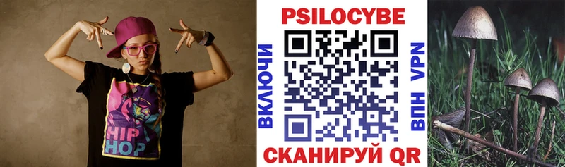 omg как войти  Циолковский  Псилоцибиновые грибы MAGIC MUSHROOMS 