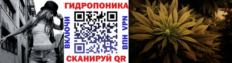 Каннабис план  blacksprut ссылки  Циолковский 